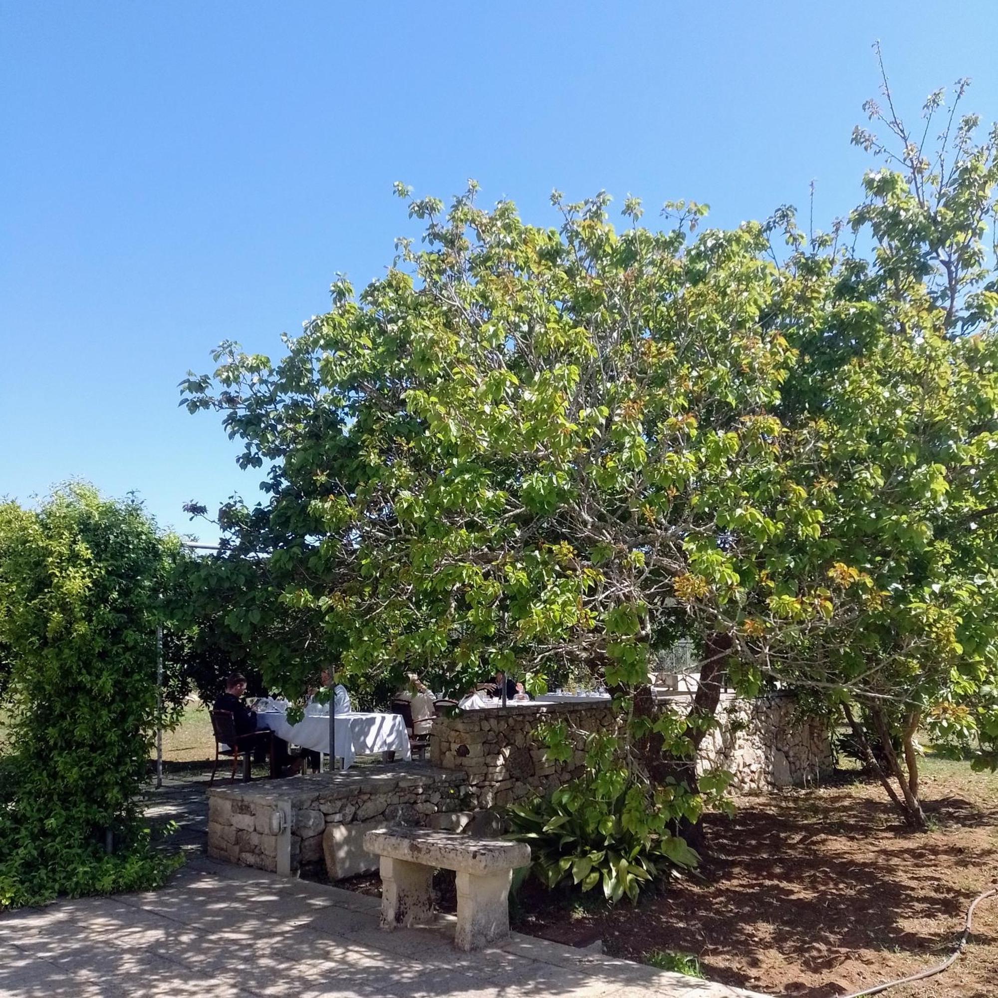 Agriturismo Villa Coluccia Martano Exterior foto