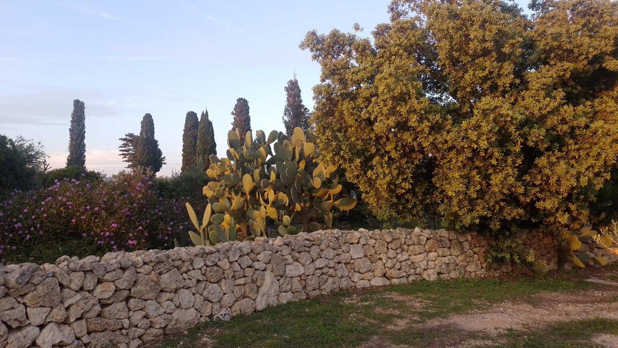 Agriturismo Villa Coluccia Martano Exterior foto